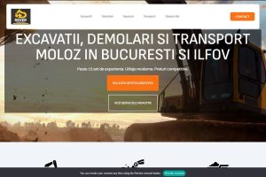 Portofoliu
